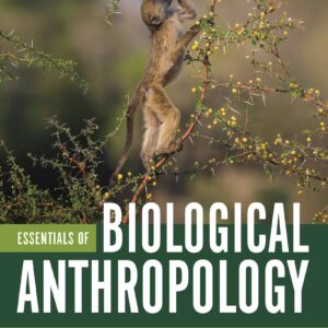 Essentials of Biological Anthropology 6th Edition
