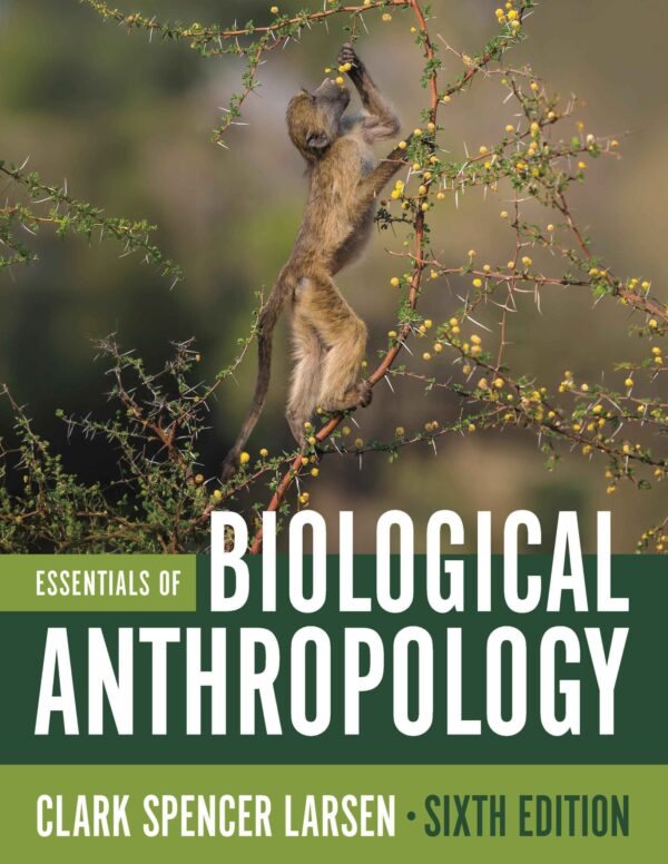 Essentials of Biological Anthropology 6th Edition